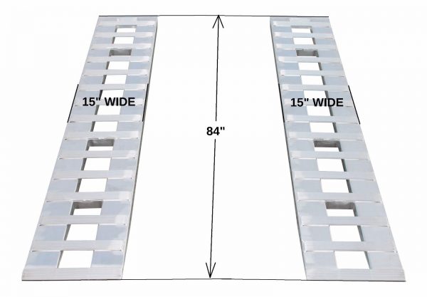 Safety cage ladder